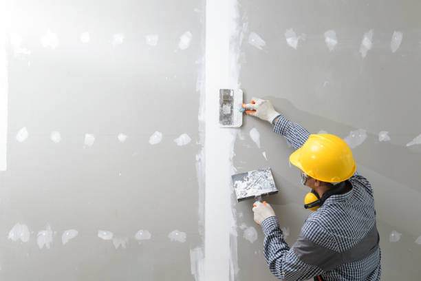 Best Industrial Mold Remediation  in Hampton Bays, NY
