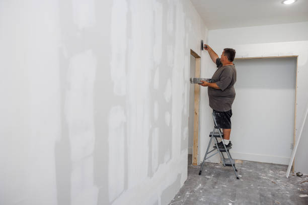 Best Mold Damage Restoration  in Hampton Bays, NY