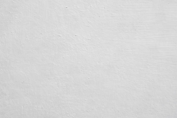 Trusted Hampton Bays, NY Mold Removal Experts
